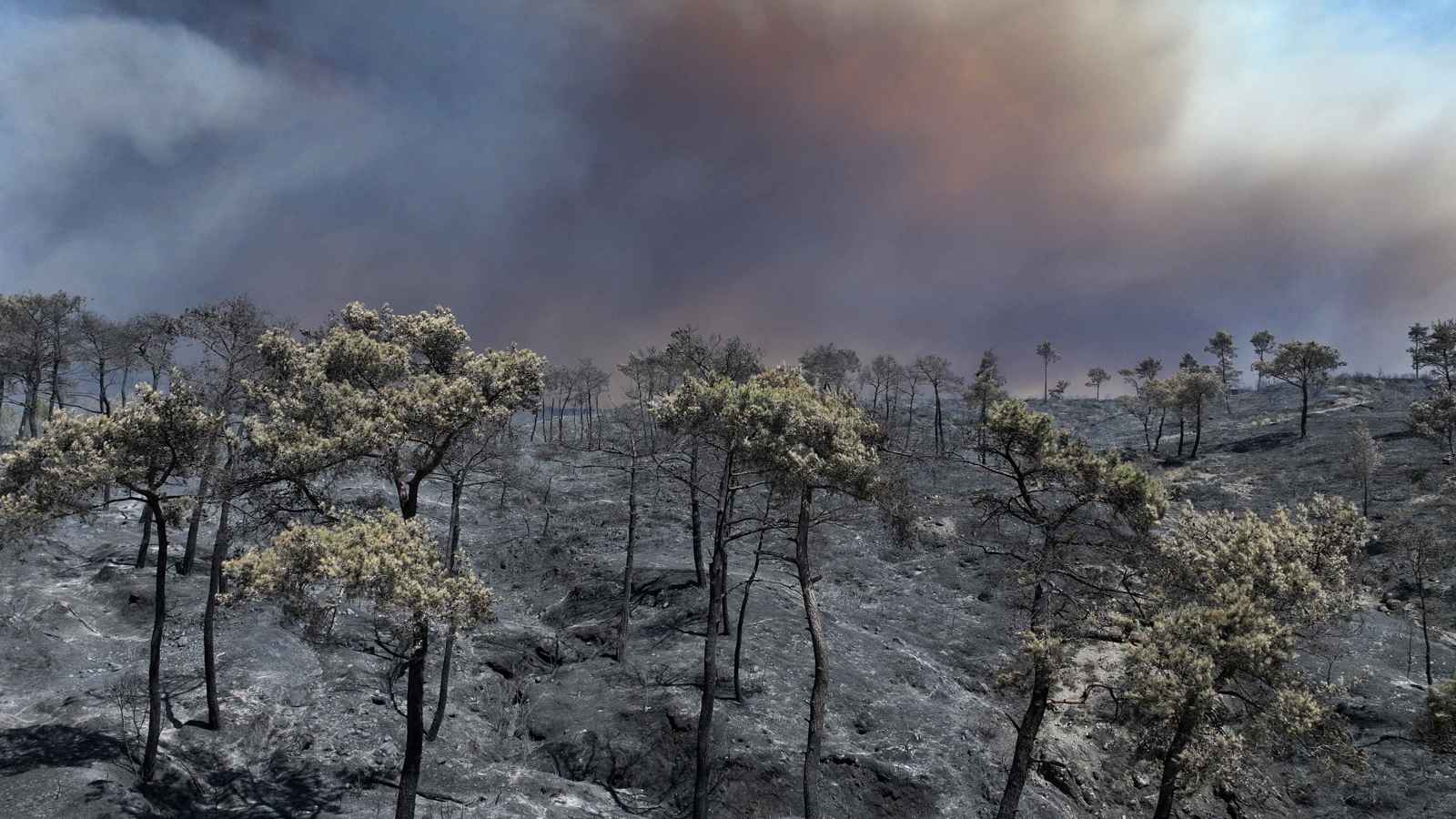 رئة سوريا تحترق.. "أنصار السنة" يضرب مناطق "الأقليات" من جديد