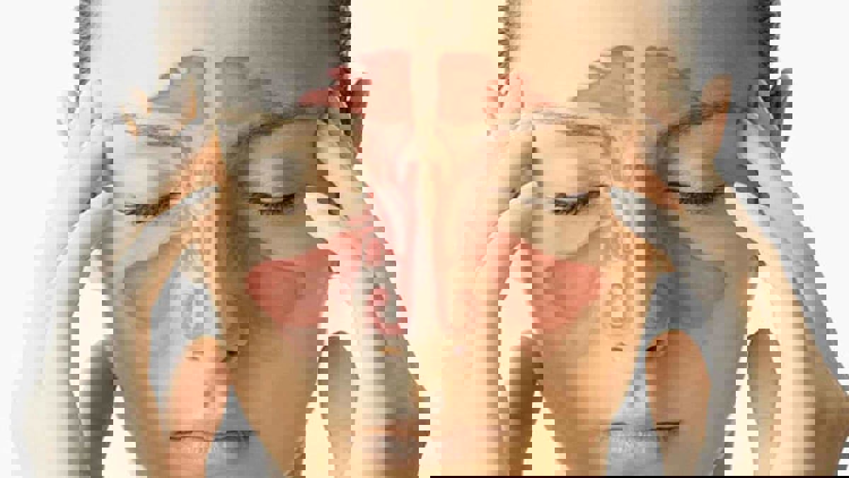 دراسة حديثة تتخذ من "الجيوب الأنفية" مدخلا لفهم التطور البشري