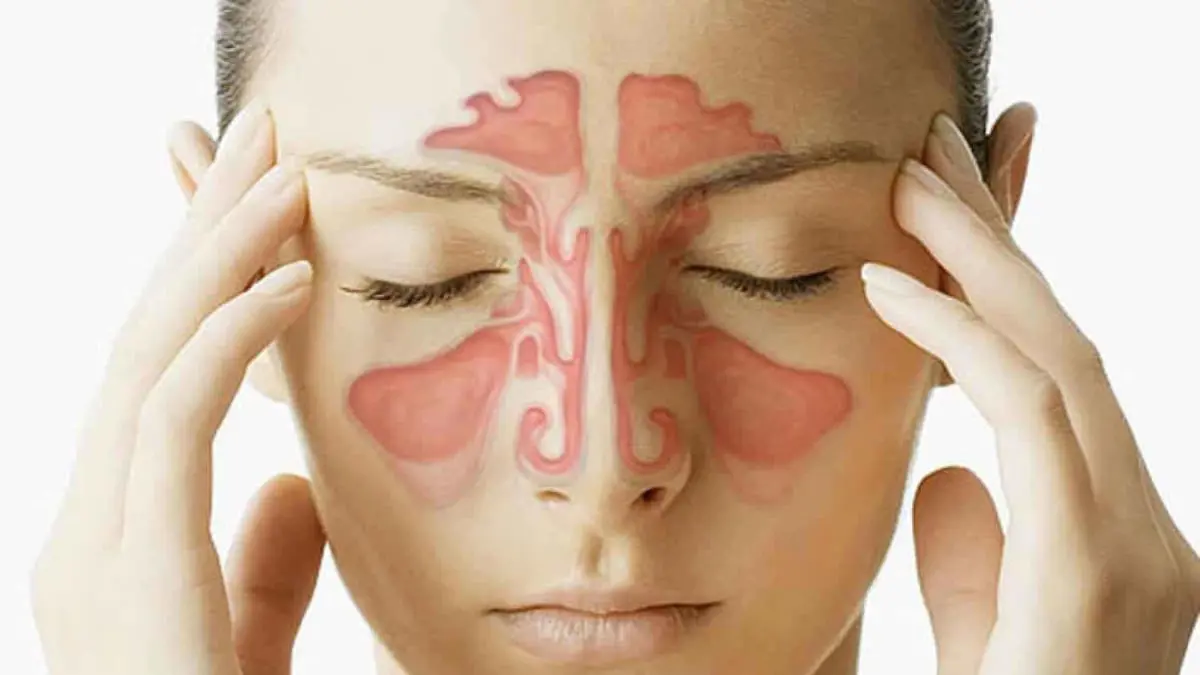 دراسة حديثة تتخذ من "الجيوب الأنفية" مدخلا لفهم التطور البشري