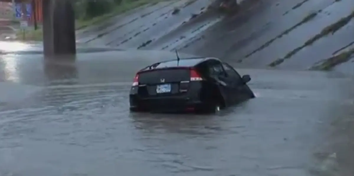 مراسل صحفي ينقذ رجلاً من الغرق (فيديو)