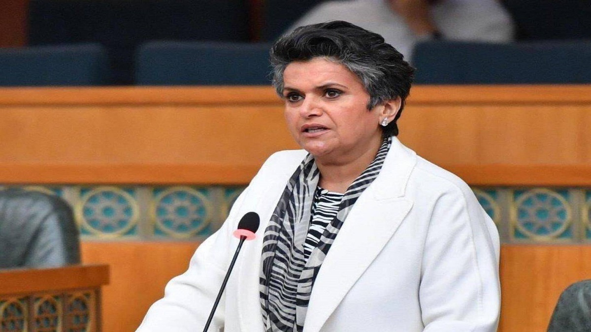 صفاء الهاشم تتهم الجالية المصرية مجددا بتهديدها بالقتل