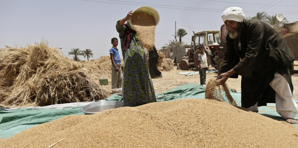 السودان يحظر استيراد السلع الزراعية والحيوانية من مصر