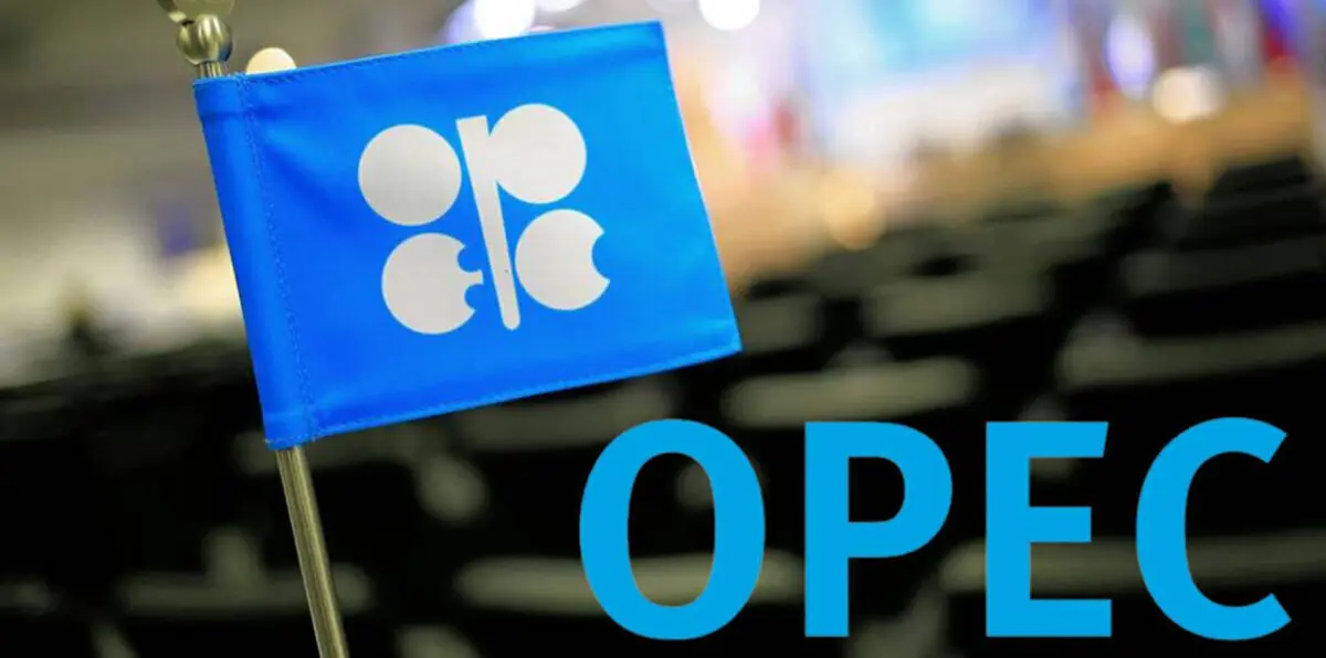 أوبك: لا محادثات لتمديد خفض إنتاج النفط إلى 2019‎