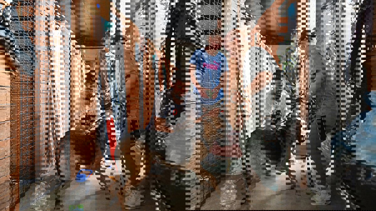 ملجأ في كييف لإيواء قطط وكلاب أنقذت من فيضانات سد كاخوفكا (صور)