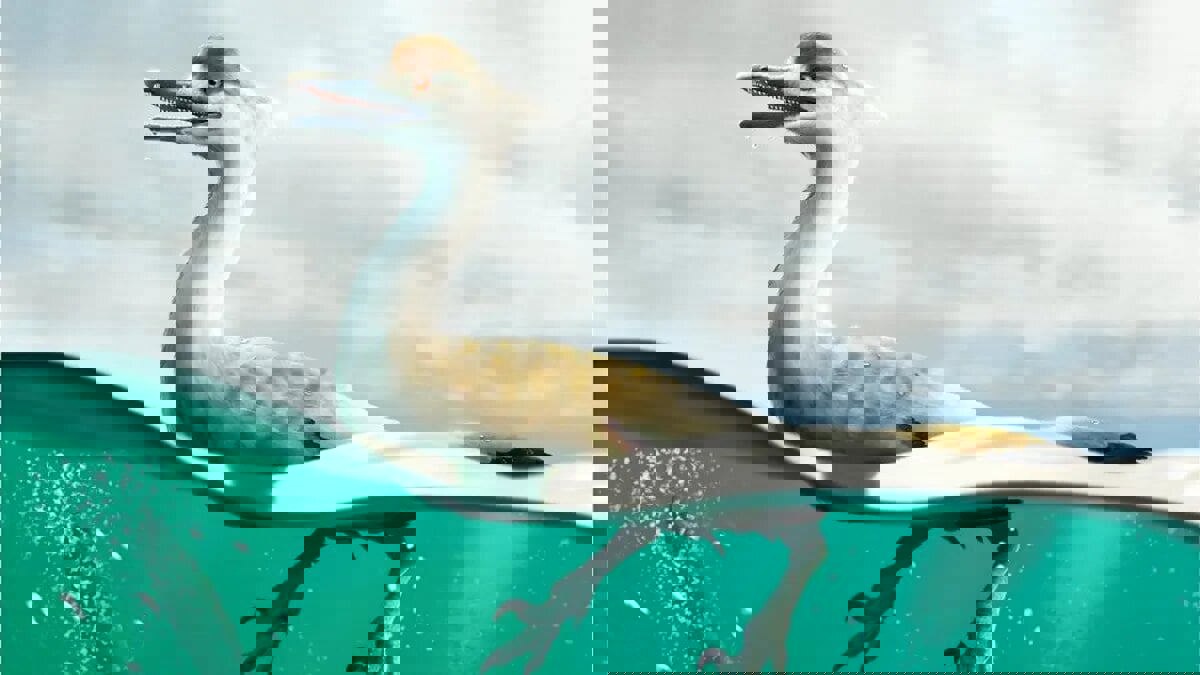 اكتشاف لغز ديناصور مائي شبيه بالبطريق والإوزة