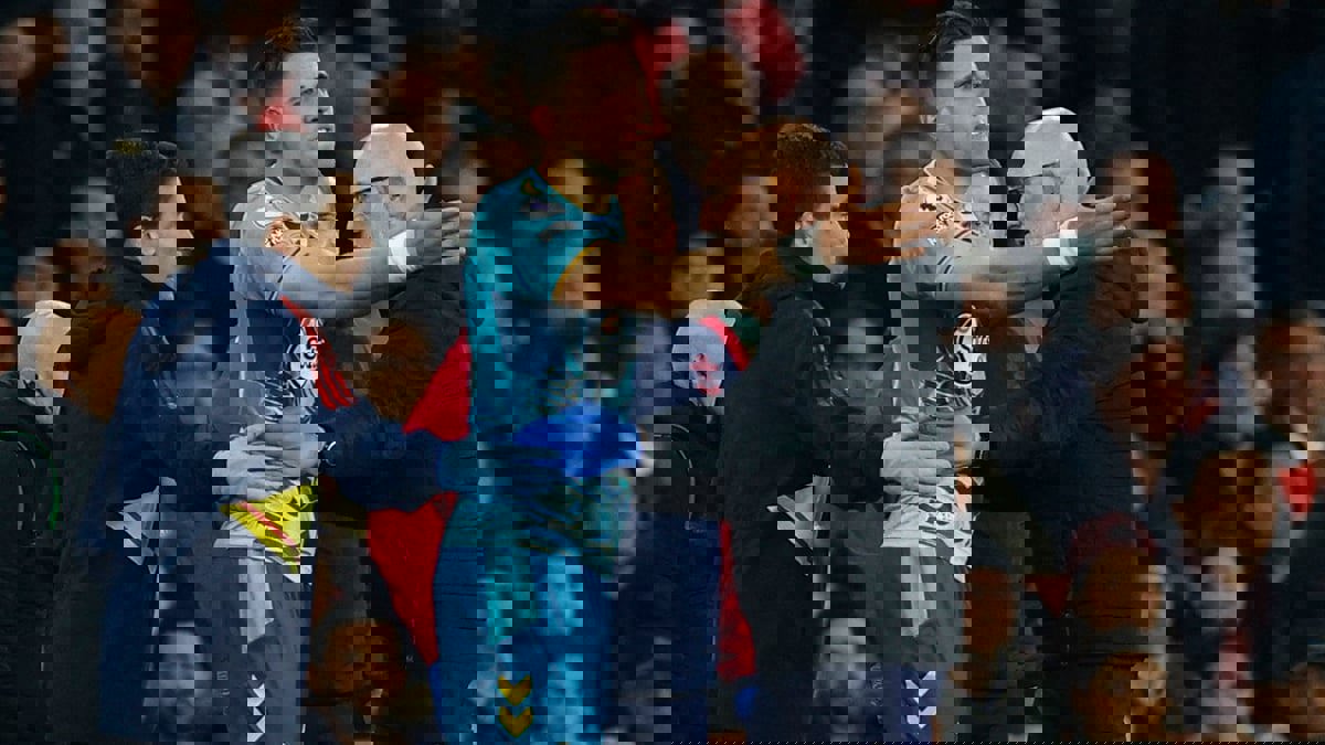 تعرض لإصابة في الرأس.. غضب بيدناريك على الفريق الطبي لساوثهامبتون بعد منع عودته للعب (فيديو)