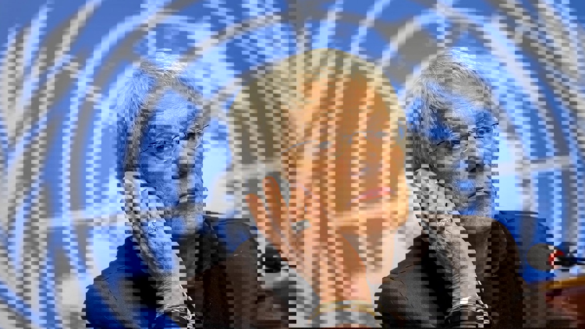 محققة أممية سابقة: يجب محاسبة أردوغان وتوجيه اتهامات له بارتكاب جرائم حرب بسوريا