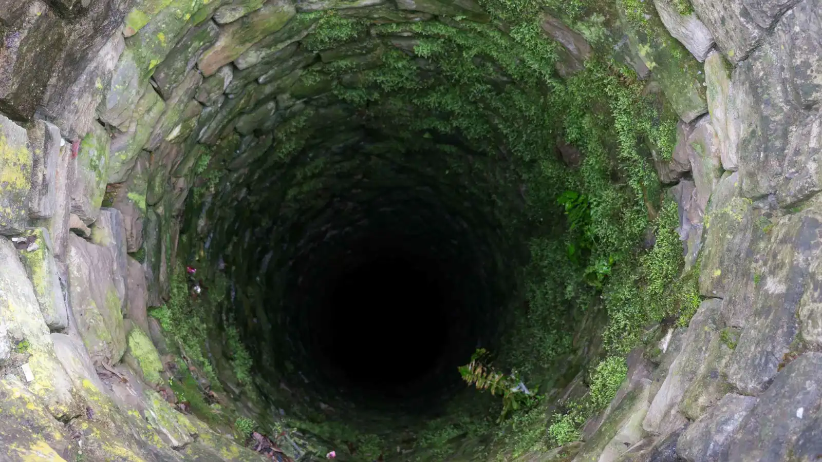 ظلام وثعابين.. امرأة تنجو من الموت بعد 54 ساعة داخل بئر مهجورة (صور)