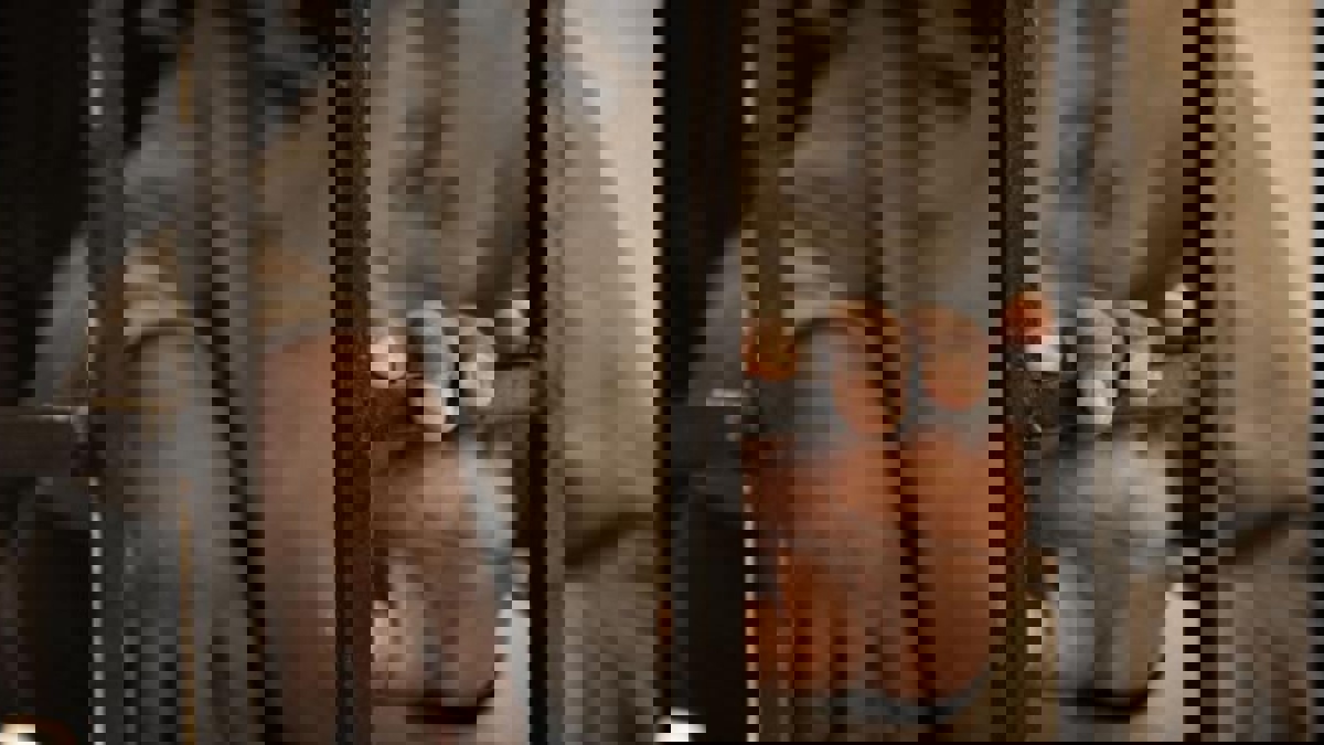 حقوقيون: ميليشيات ليبية تعتقل تونسيين في طرابلس وتنقلهم إلى سجون سريّة