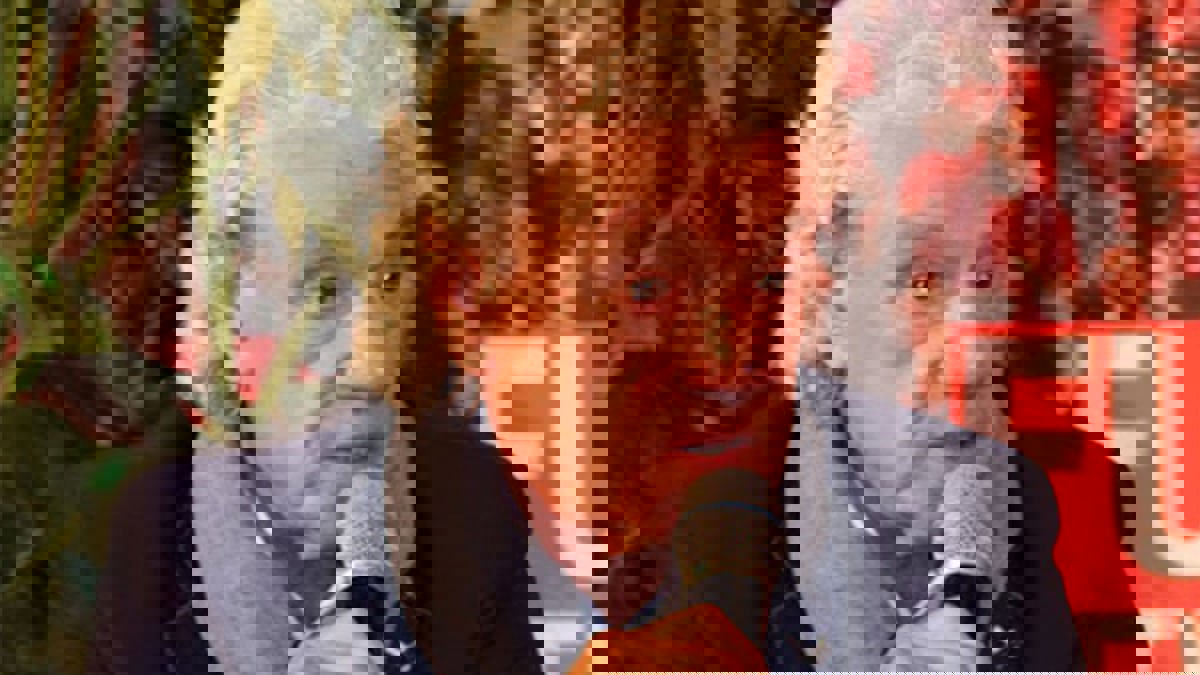 هولمان لـ"إرم نيوز": الأهلي محظوظ بمواجهة بايرن ميونخ حاليا.. ثمانية برشلونة مر عليها 6 أشهر‎