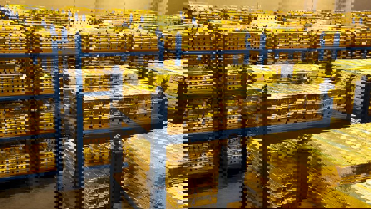 لماذا تعتمد تركيا "بنك إنجلترا" مقرا لاحتياطاتها من الذهب؟