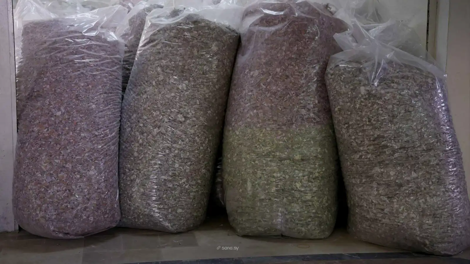 بعد استبدالها.. كيف يتم إتلاف العملة السورية القديمة؟ (فيديو)