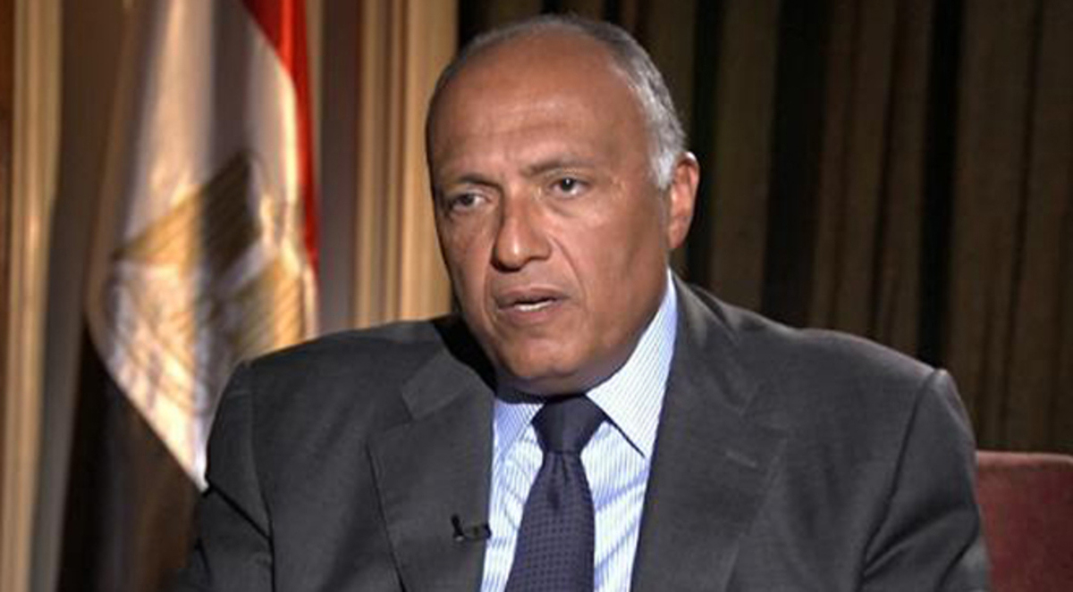 سامح شكري يؤكد تشكيل القوة العربية المشتركة خلال أشهر