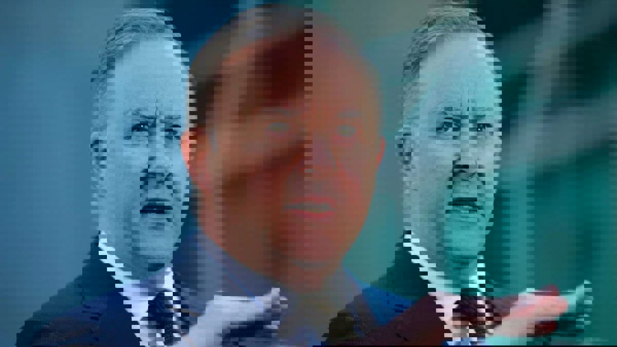 من هو رئيس وزراء أستراليا الجديد أنتوني ألبانيز؟