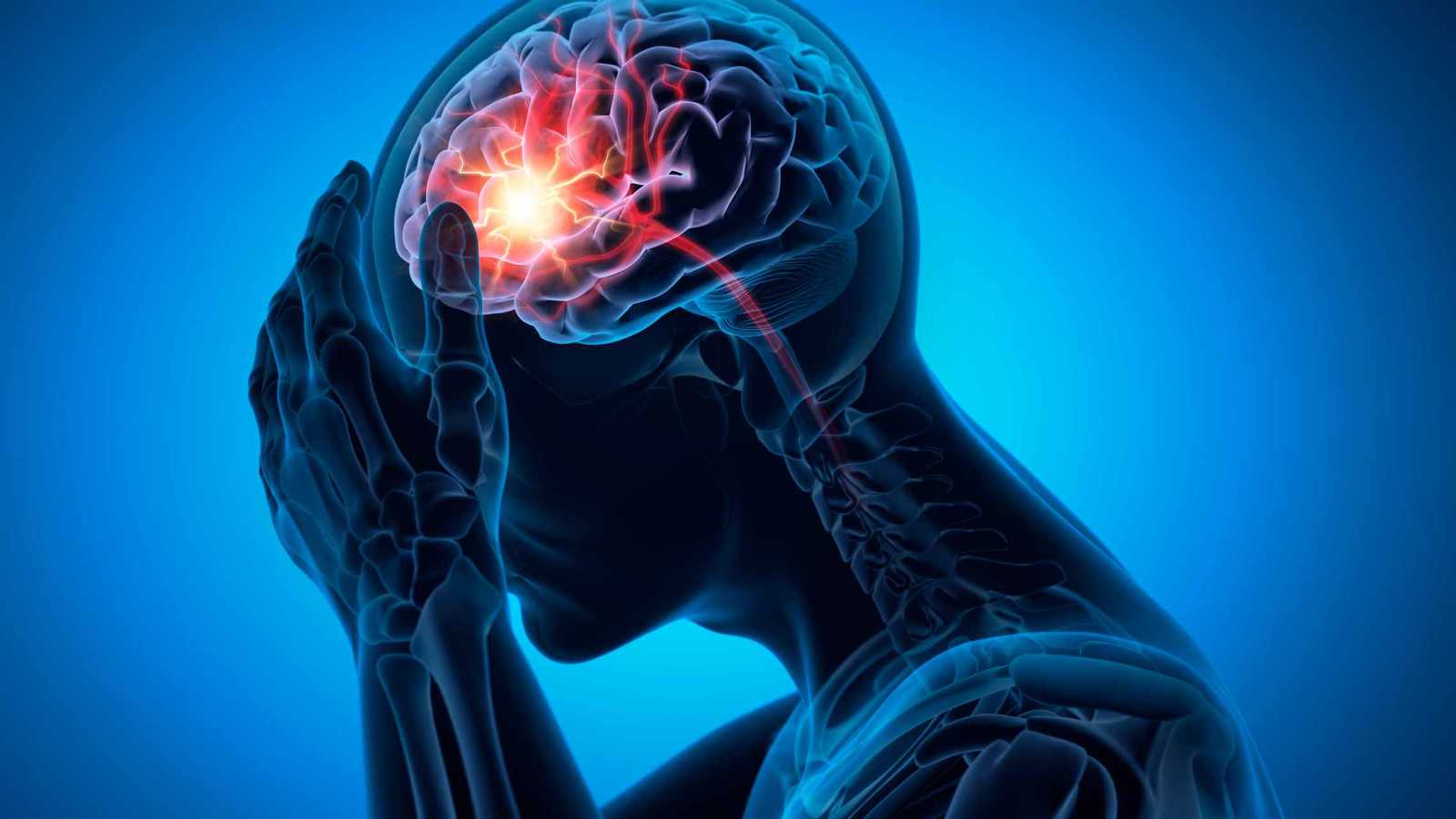 بروتين "مينين" في الدماغ قد يكون المفتاح لإبطاء الشيخوخة