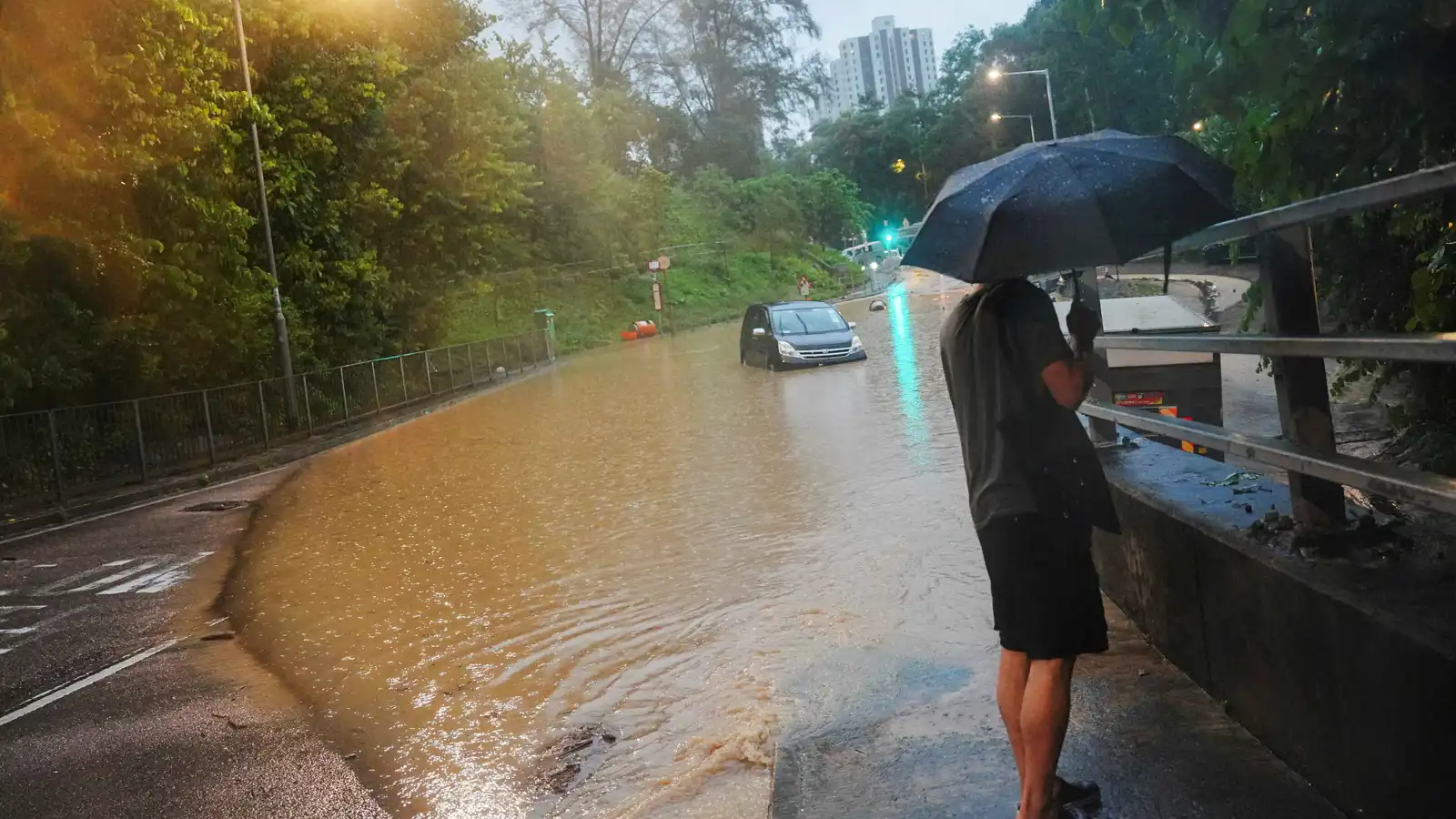 الصين.. مخاوف من أمراض ينقلها البعوض بعد الفيضانات المدمرة