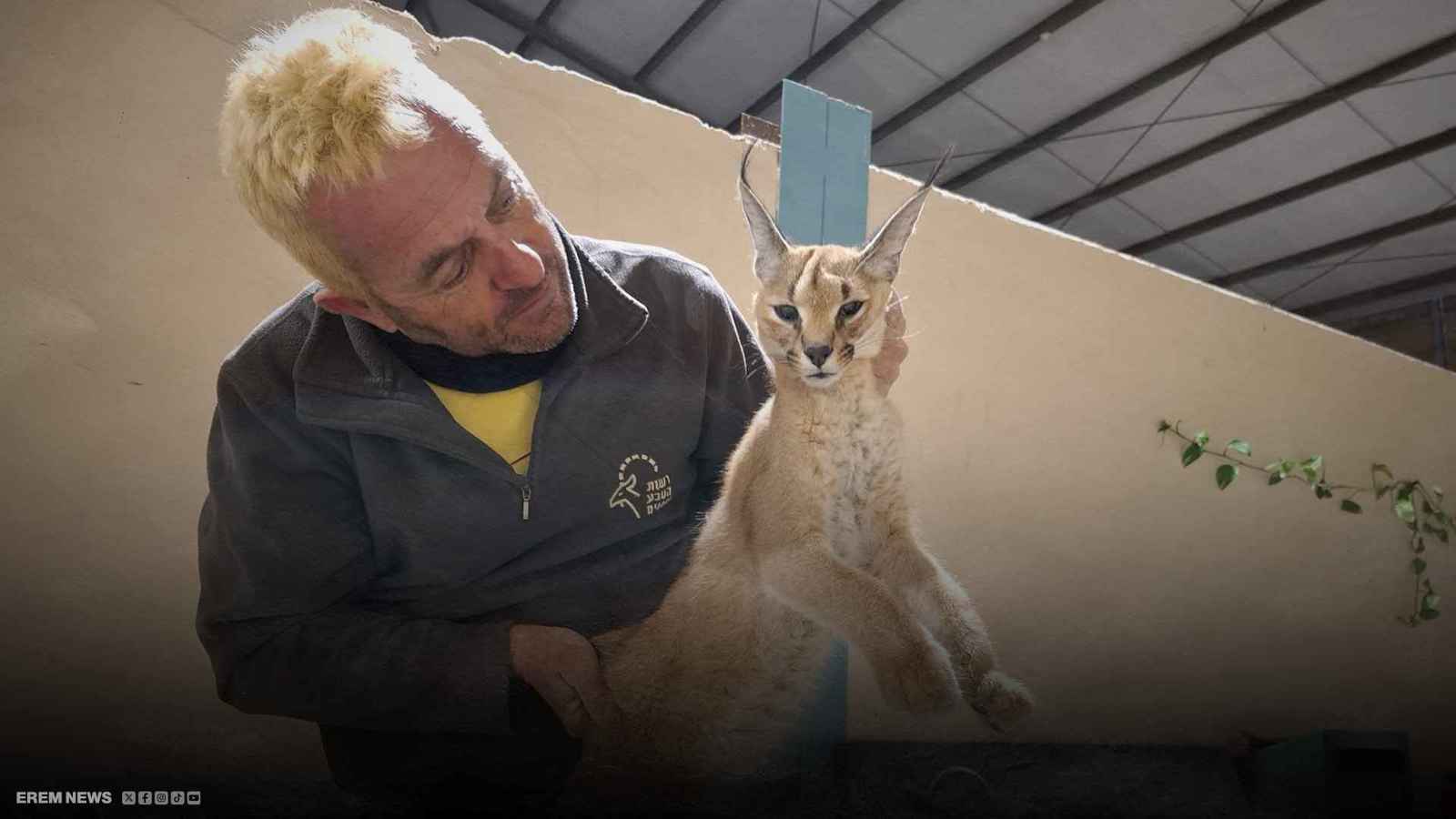 وشق مصري يثير الذعر في إسرائيل.. وسقوط جرحى في الهجوم