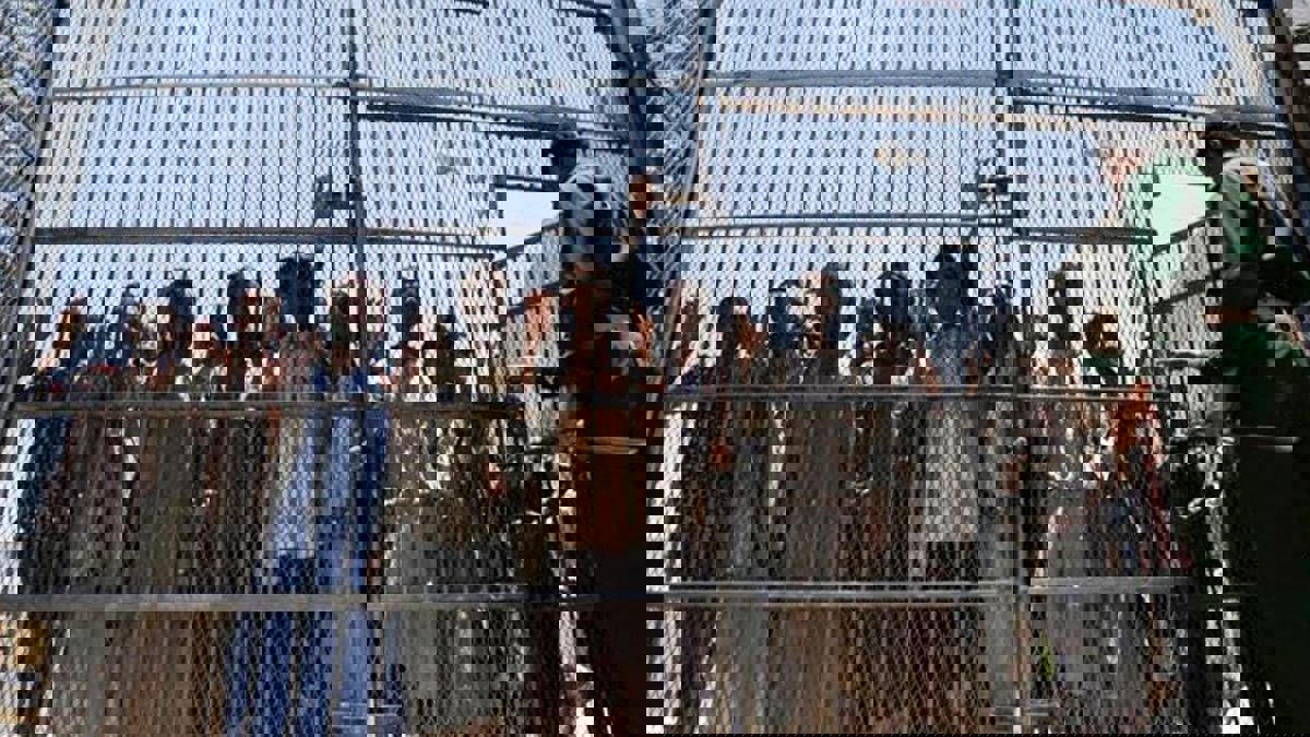 اجتماع بين الحكومة اليمنية والحوثيين في سويسرا لبحث اتفاق بشأن الأسرى‎