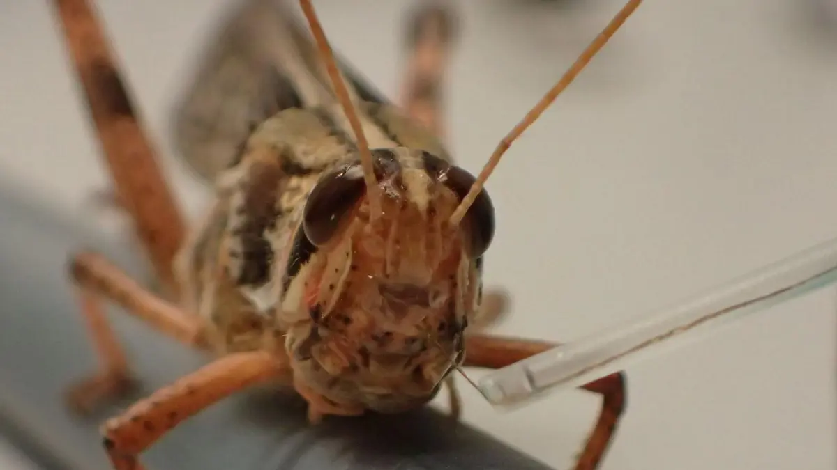 ابتكار تقنية تصوير جديدة تساعد في تسريع تشخيص الأمراض