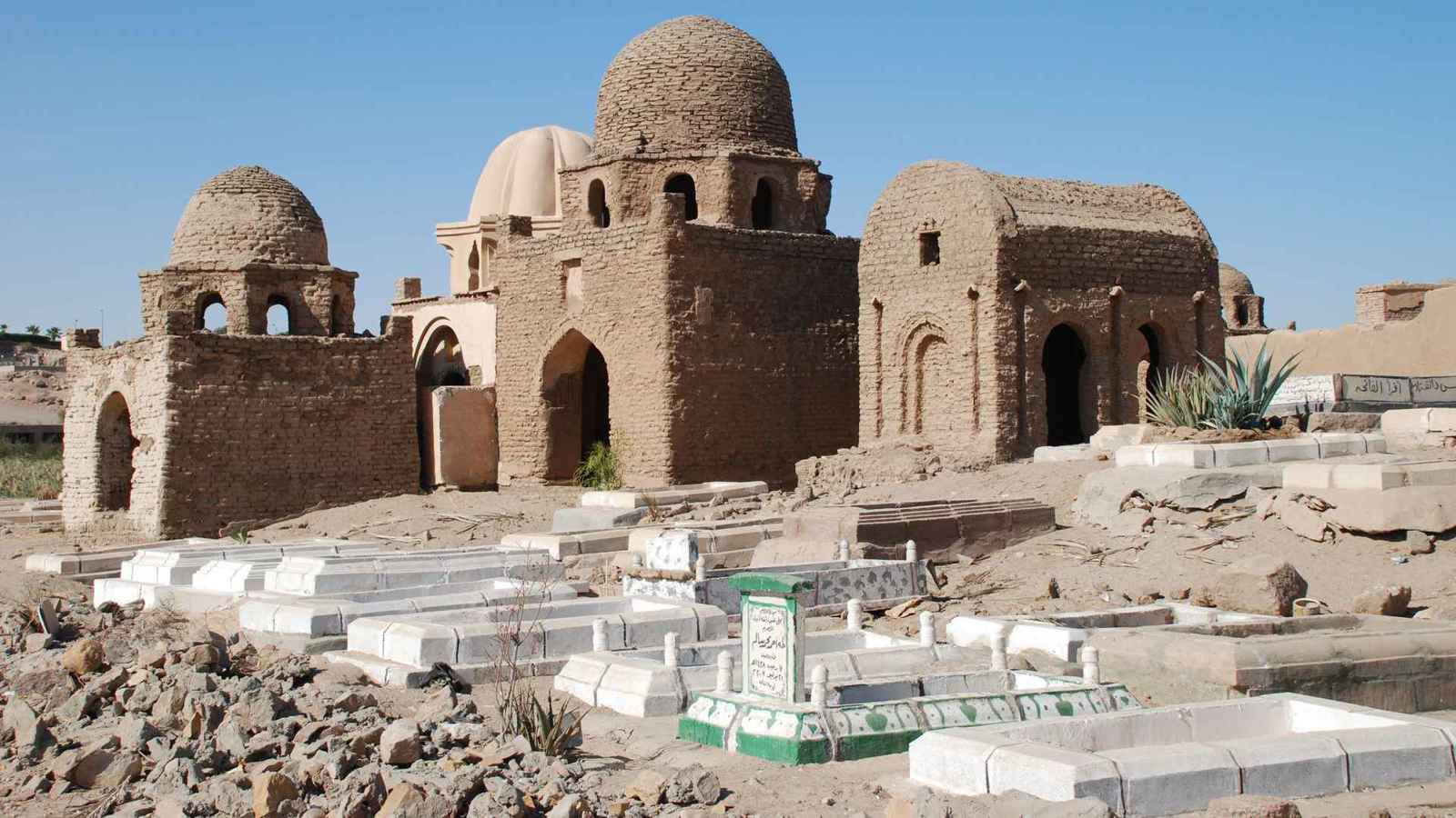 مصر.. لحق بوالده المتوفى ودُفن معه (صورة)