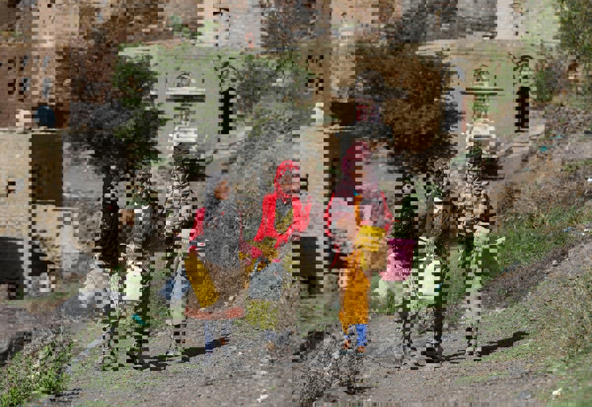  ما تداعيات التغير المناخي على الاقتصاد اليمني؟ 