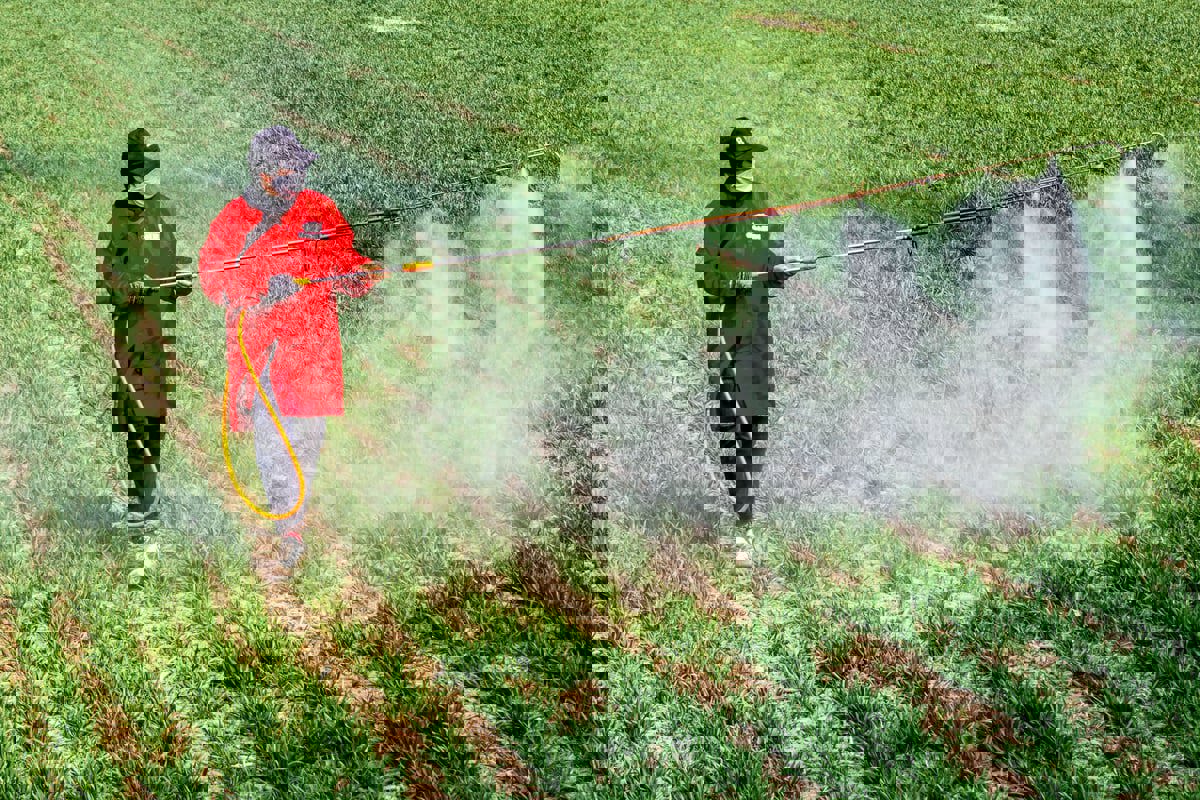 "بول الإنسان".. سماد فعال لتخصيب الأراضي الزراعية