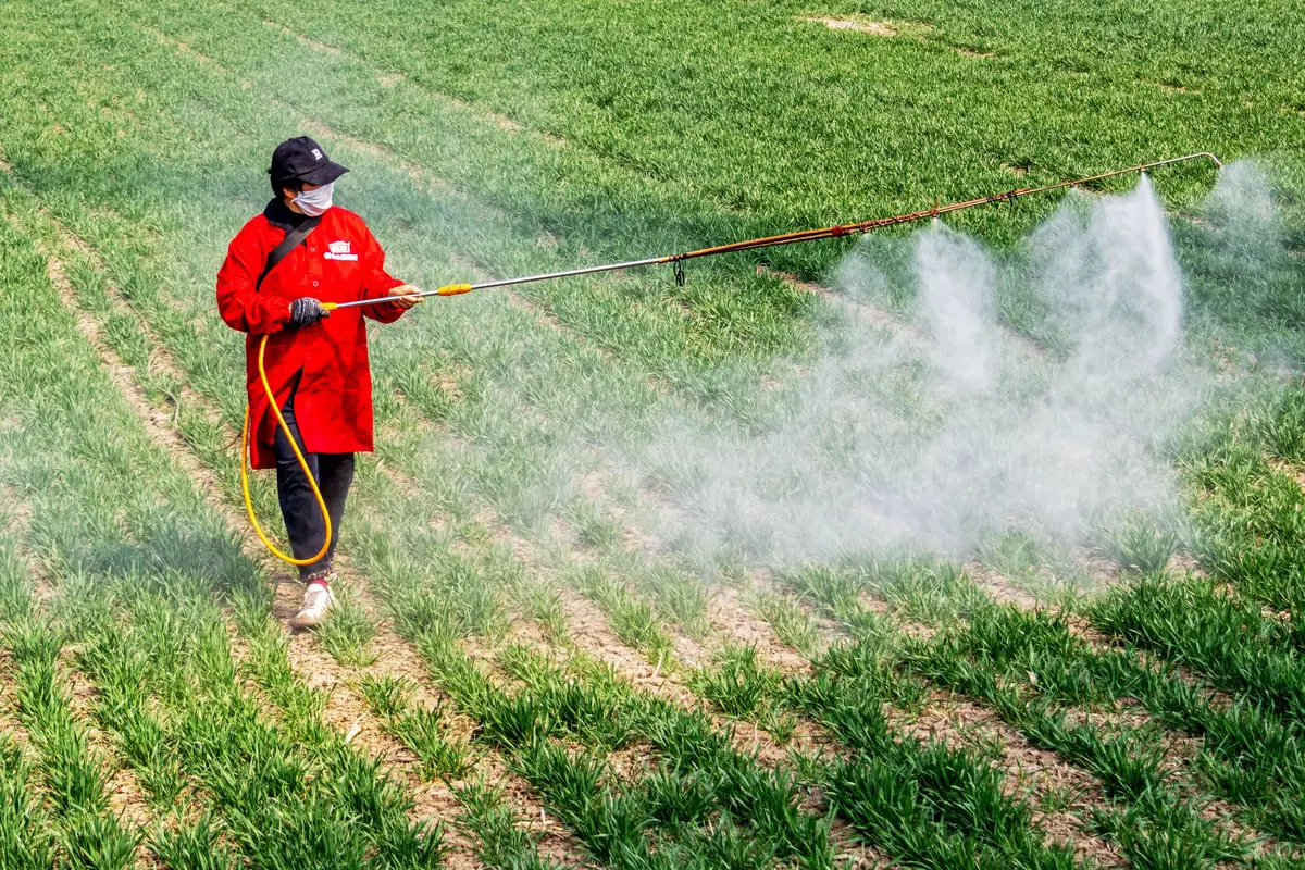 "بول الإنسان".. سماد فعال لتخصيب الأراضي الزراعية