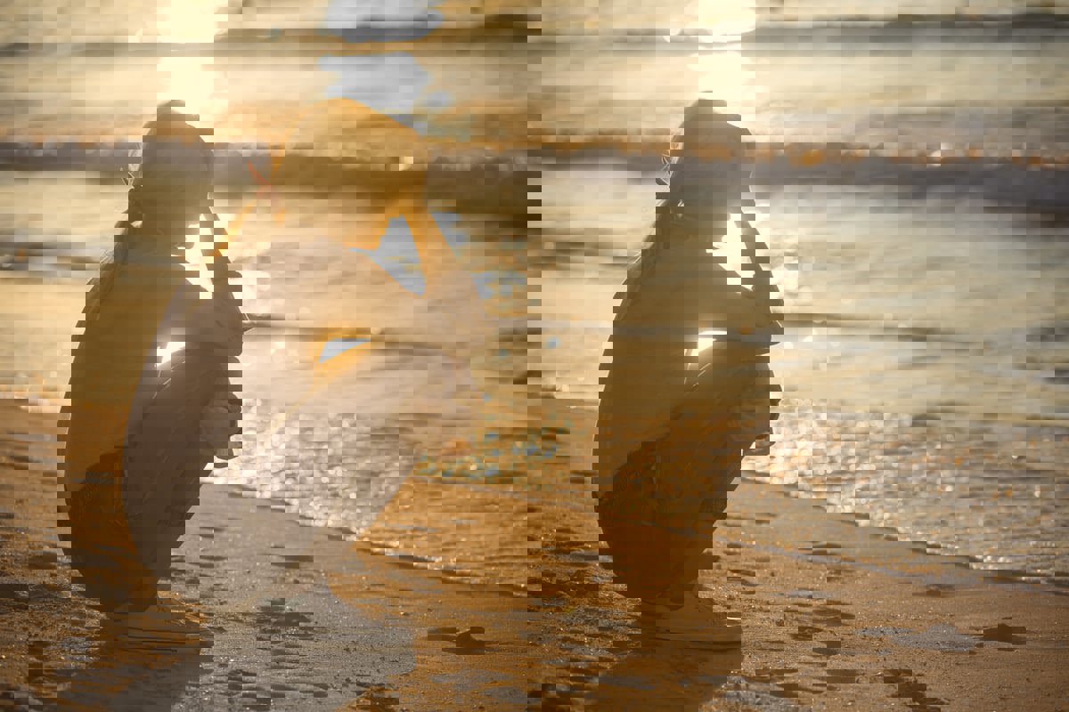 "قلق الصيف".. مشكلة صحية تظهر مع ارتفاع درجات الحرارة