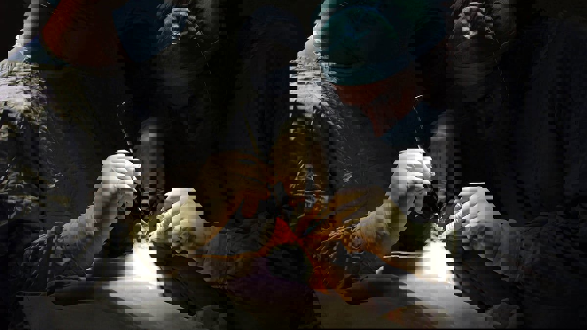 نتائج مشجعة لتجربة فقدان الوزن بطريقة غير جراحية 