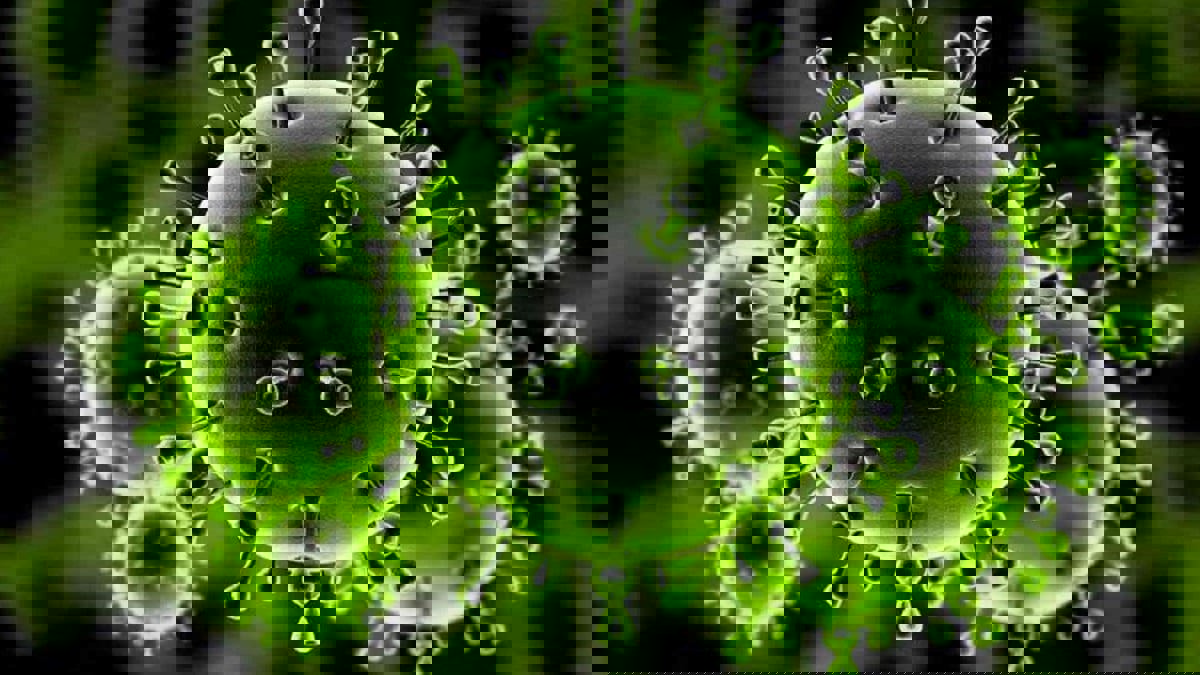 اكتشاف 7 سلالات جديدة من "كورونا" في الولايات المتحدة