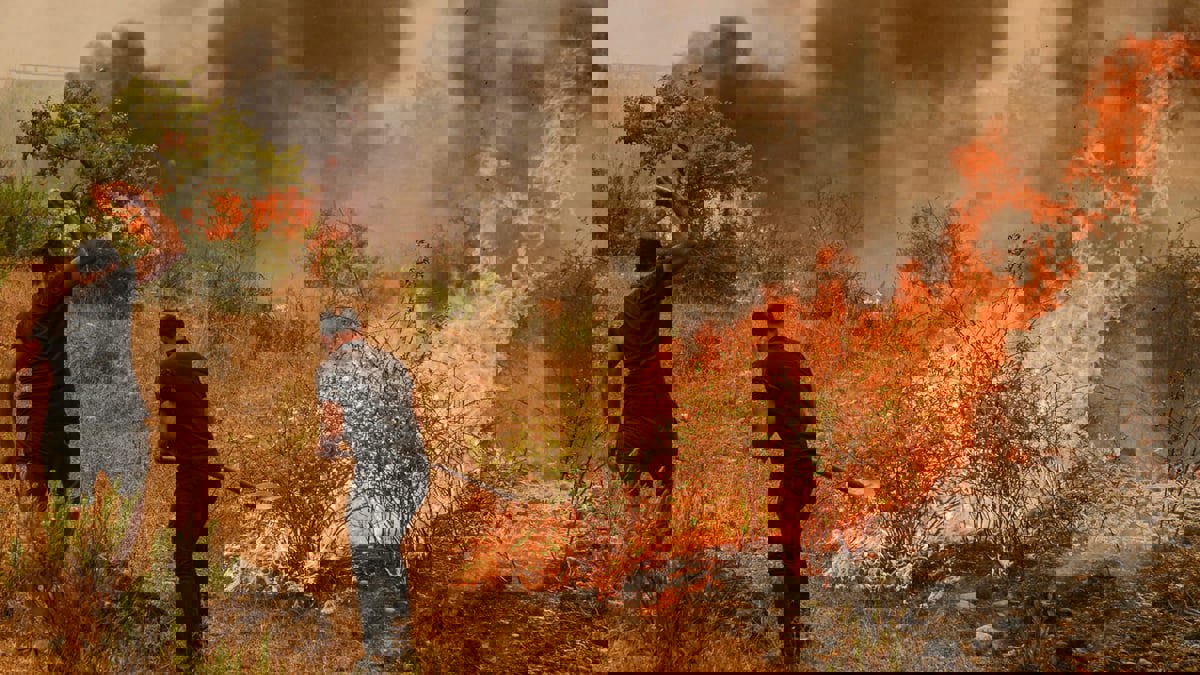 الرئيس التركي يعلن 5 ولايات تعرضت لحرائق "مناطق منكوبة"