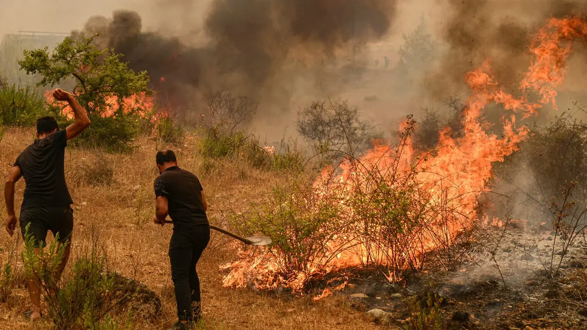 الرئيس التركي يعلن 5 ولايات تعرضت لحرائق "مناطق منكوبة"