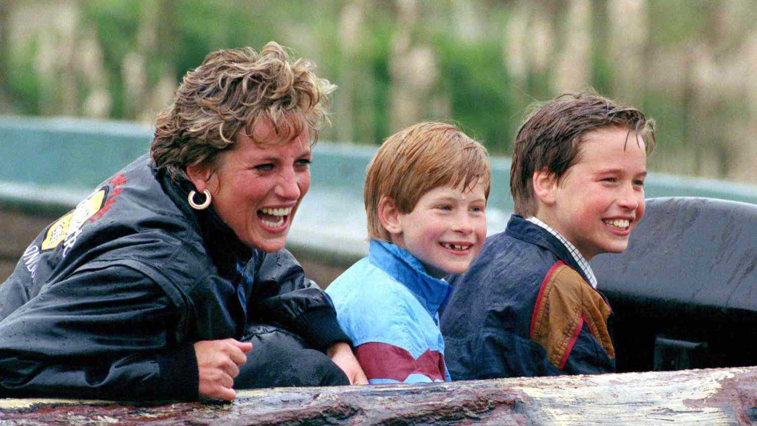 الأميران هاري وويليام تلقّيا تحذيرات بعد وفاة والدتهما