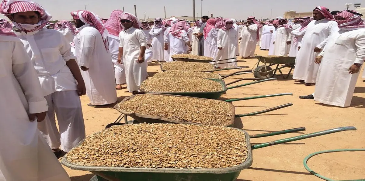 بالفيديو.. الكشف عن طريقة غريبة لدفن الموتى في السعودية