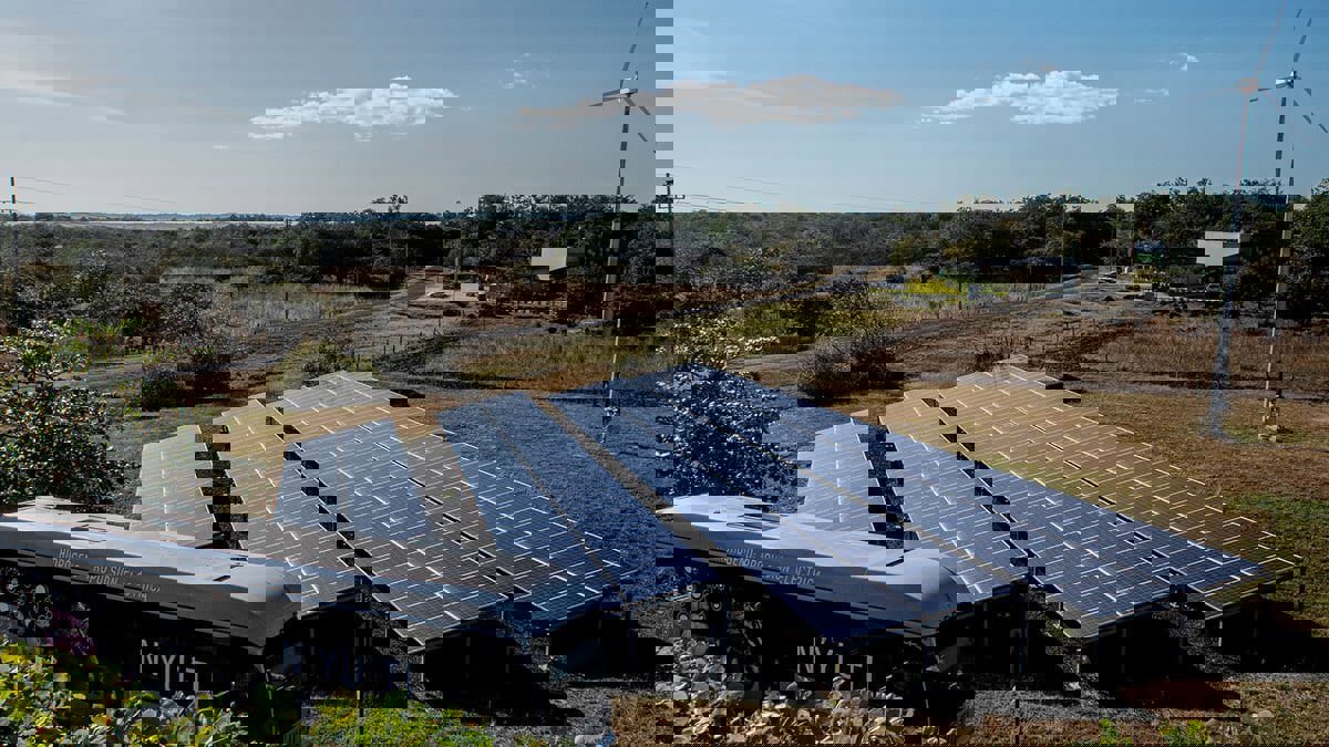 وكالة الطاقة: الأزمة الناجمة عن حرب أوكرانيا ستسرّع التحول إلى الطاقة الخضراء
