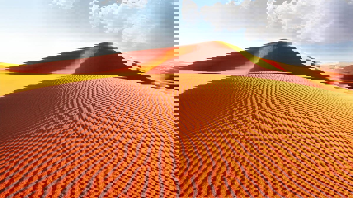 ابتكار مادة تحول رمال الصحراء إلى تربة خصبة في 7 ساعات