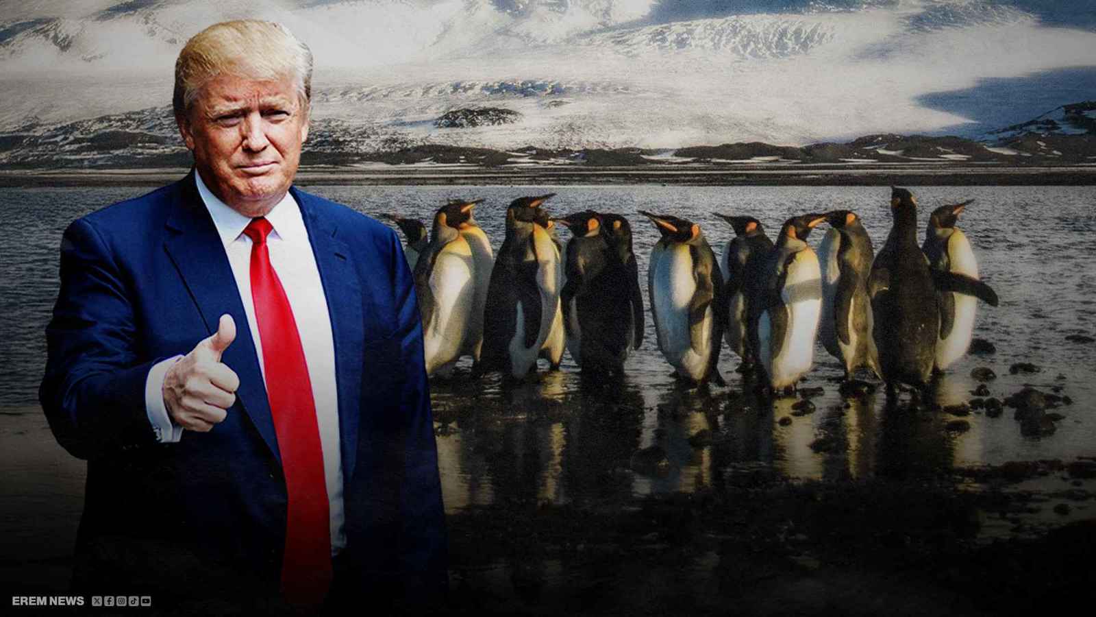 حتى البطاريق والفقمات لم تسلم من رسوم ترامب (فيديو إرم)