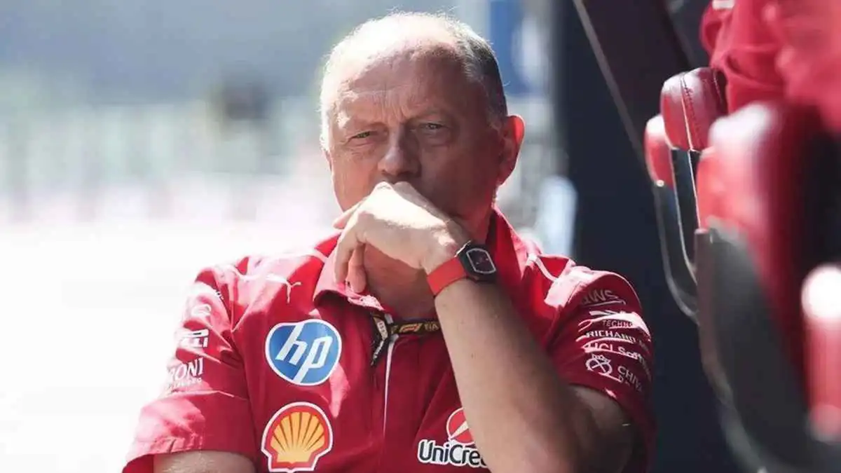 فيراري تمدد عقد فريد فاسور كرئيس لفريق فورمولا 1