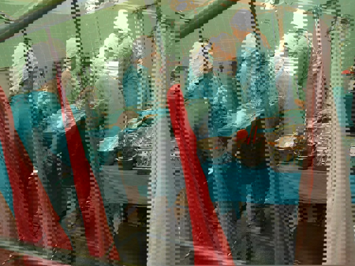 دراسة: المتلقي يرث ذكريات وسمات المتبرع بعد زراعة الأعضاء 