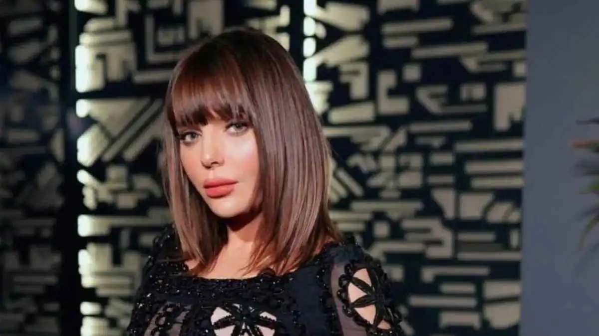 الفنانة المصرية هبة السيسي