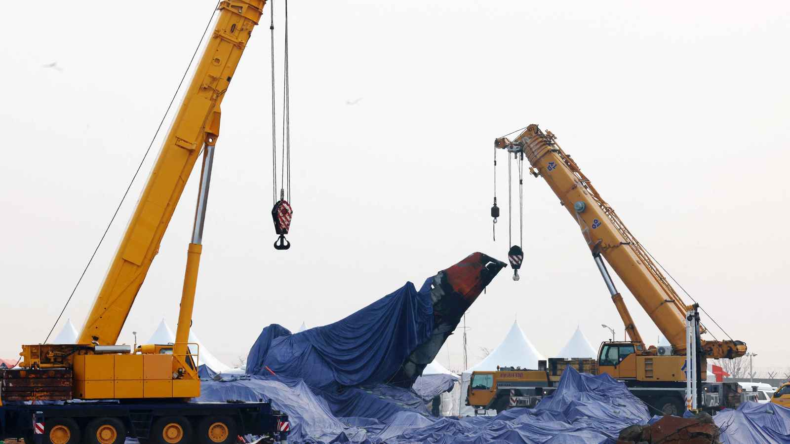 كارثة الطائرة الكورية.. مفاجأة "غريبة" في الصندوقين الأسودين