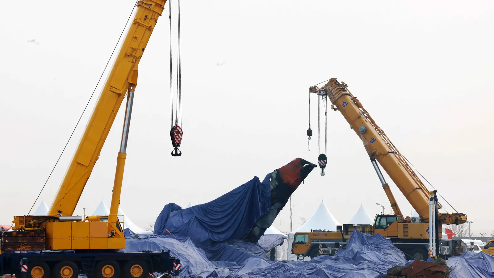 كارثة الطائرة الكورية.. مفاجأة "غريبة" في الصندوقين الأسودين