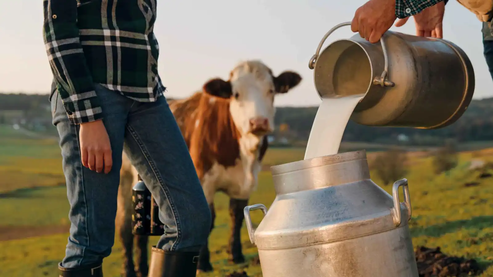يمدحه المؤثرون.. لماذا يحذّر الخبراء من الحليب غير المبستر؟