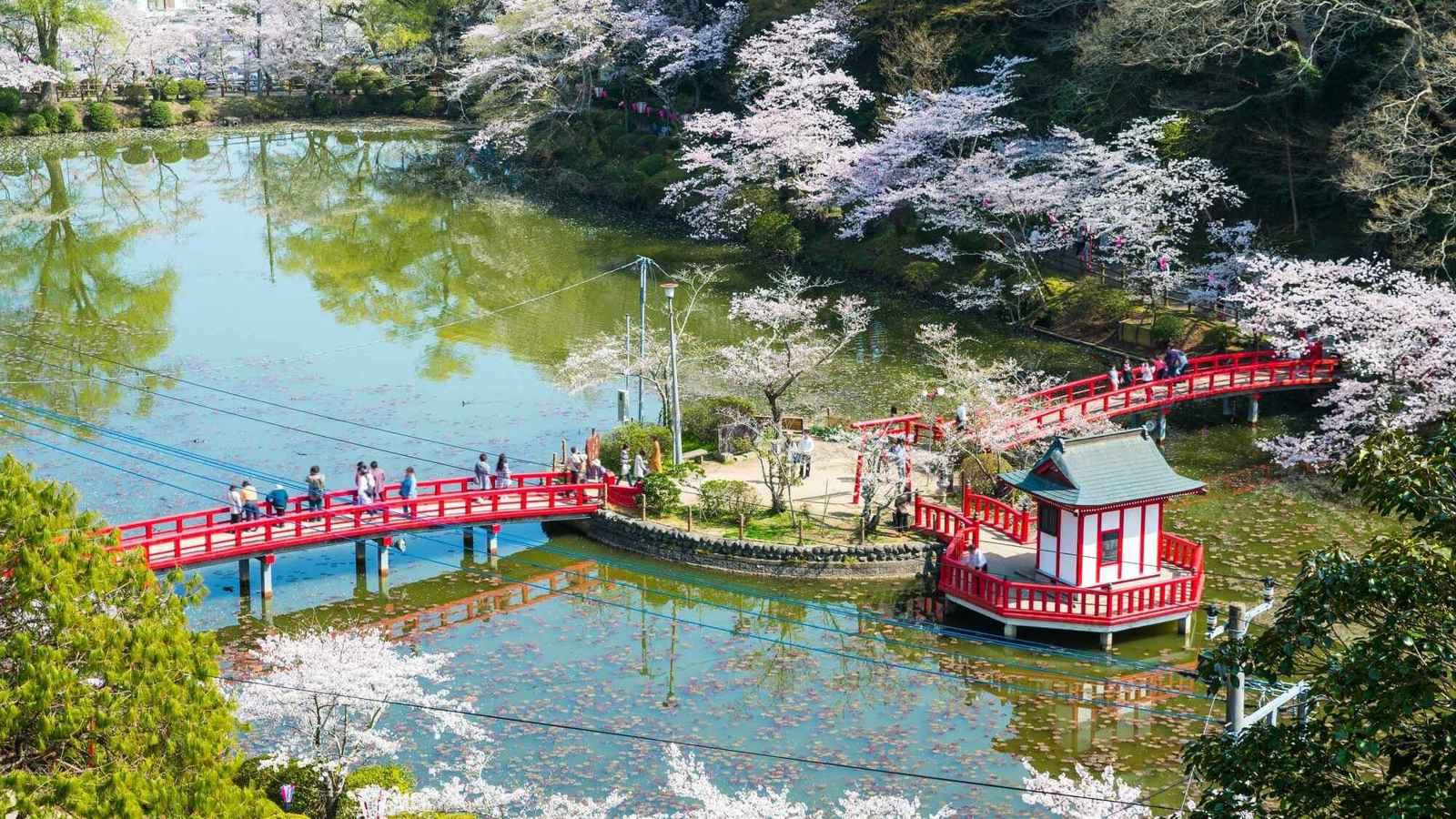 تجنب عاصمتها.. دولة سياحية ميسورة التكلفة (صور)