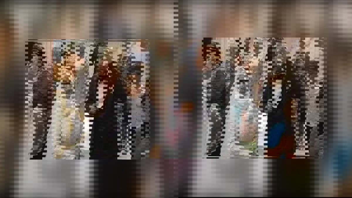 لمياء اللباوي.. تفاعل مع عروس تونسية تركها عريسها ليلة الزفاف بزعم أنها قبيحة