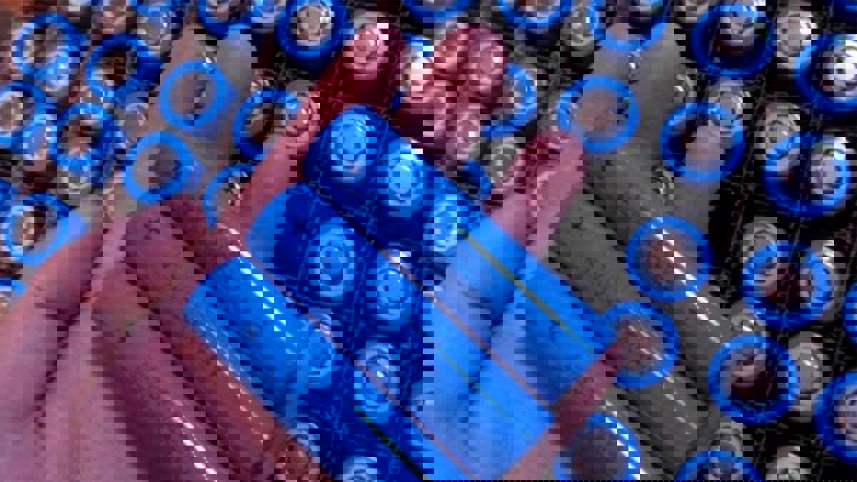 مادة جديدة من الأعشاب البحرية لتحسين أداء البطاريات

