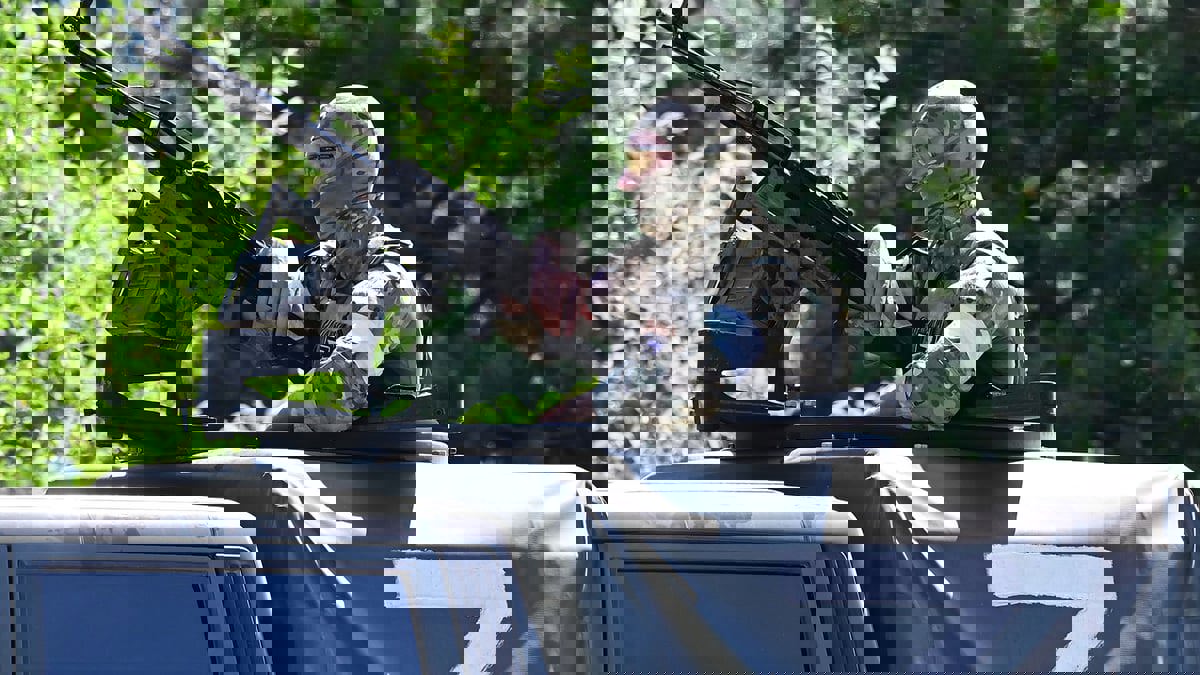 صحف عالمية: "جائزة كبيرة" لروسيا.. و"ضغوط هائلة" على بوتين