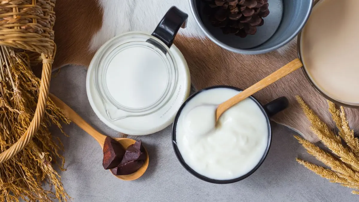 تناول الحليب والزبادي يوميا يكافح سكري النوع الثاني