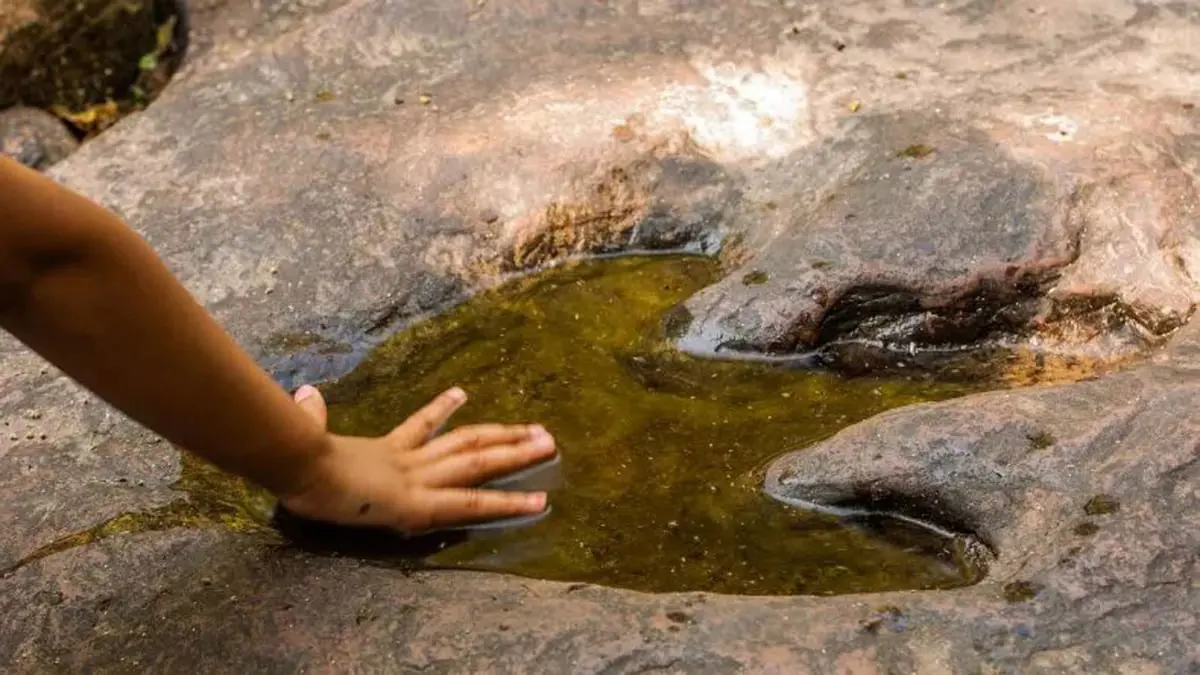 اكتشاف آثار أقدام ديناصورات عملاقة في تكساس