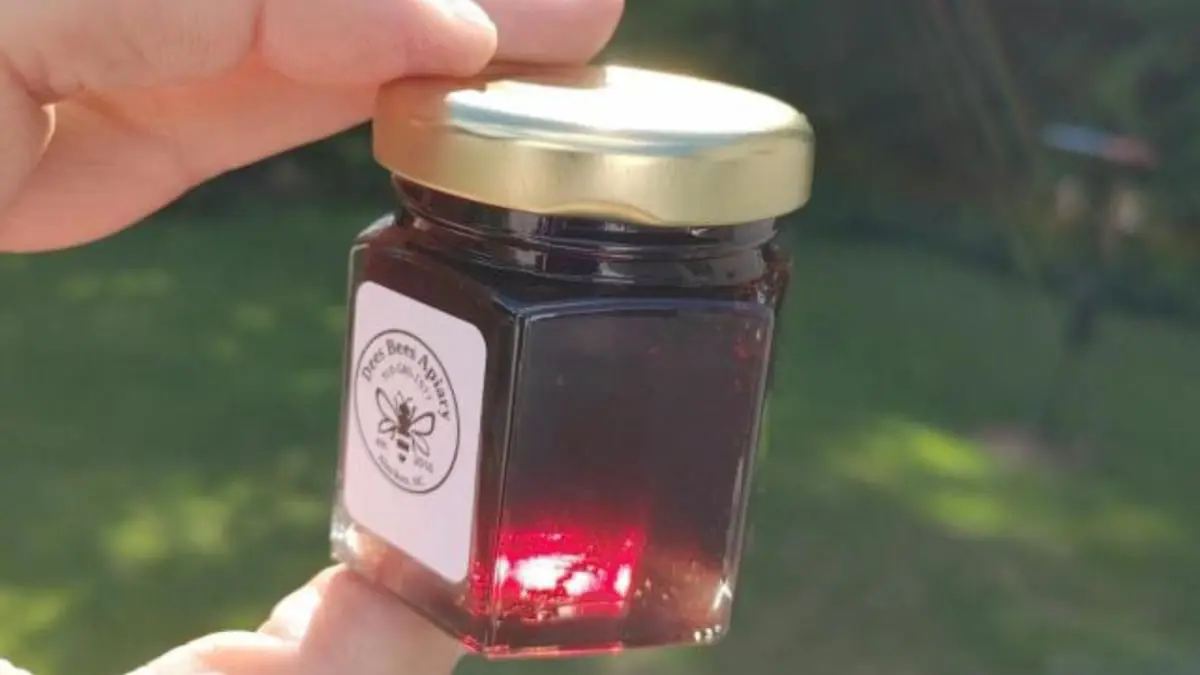 أمريكا.. عسل أرجواني يحيّر الخبراء